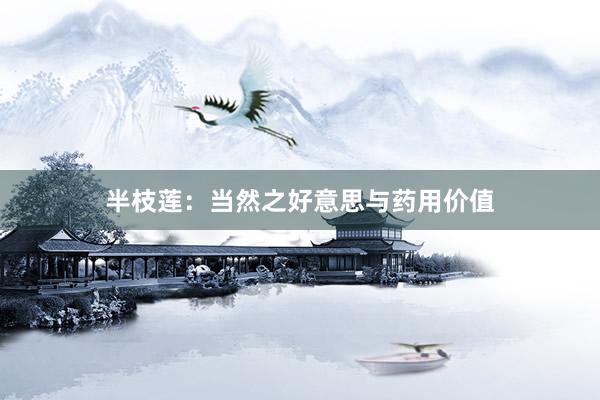 半枝莲：当然之好意思与药用价值